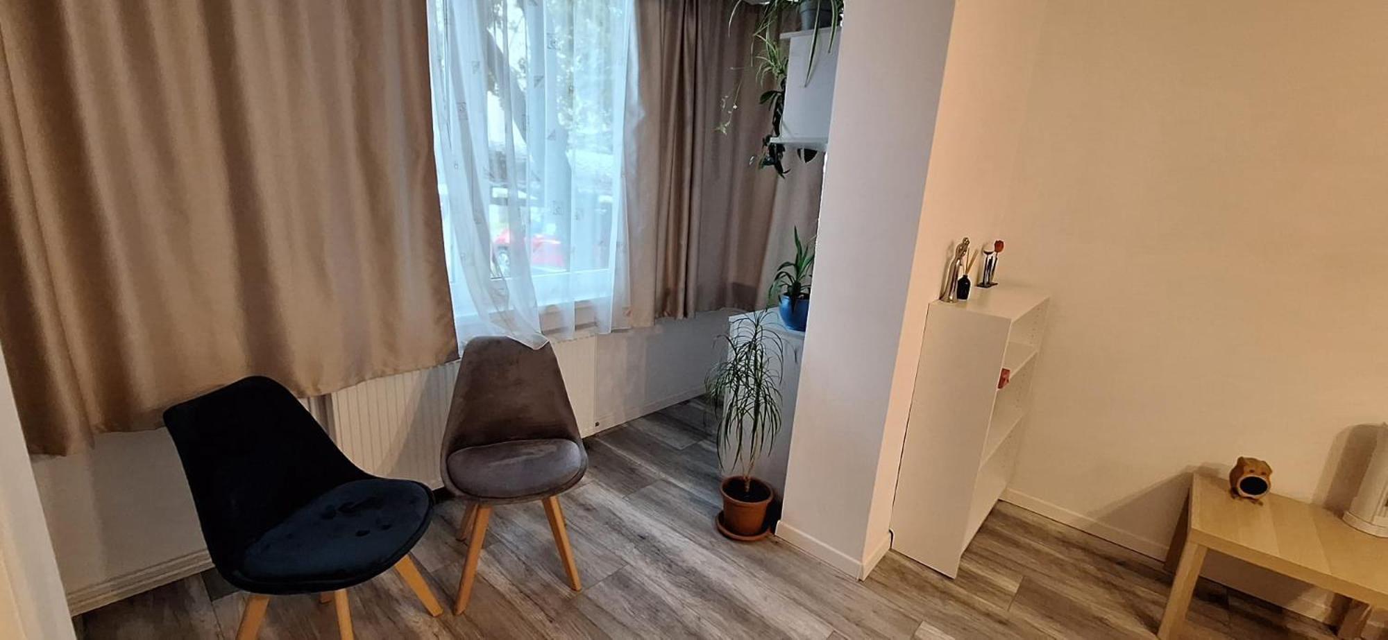 Enci House Apartment Târgu-Mureş Εξωτερικό φωτογραφία